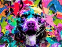 Kleurrijke pop-art hondenkop