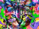 Kleurrijke pop-art kat