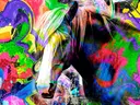 Pop-art paard in neonkleuren, dieren schilderij