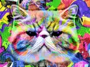 Kleurrijke pop-art Perzische kat