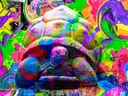Kleurrijke pop-art schildpad