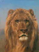 Portrait of a Lion - Prado van Rosa Bonheur: dieren met leeuw, manen, kop en blauwe lucht, in goudbruin en blauw