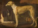 Portret van een hazewindhond en een patrijshond van Jan Weenix: dieren met hazewindhond, hond, jachthond en zuil, in warm bruin en okergeel