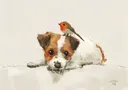 Illustratie van een puppy met bruine vlekken en een roodborstje vogeltje erop