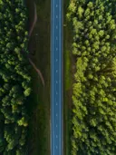 Luchtfoto van een rechte asfaltweg tussen dicht dennenbos