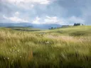 Schilderij van een regenbui boven een grasland met wollegras