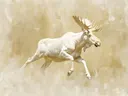 Schilderij van een rennende eland in gouden kleurtinten.