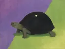 Schilderij van reptiel in violet en limoen, in vlakke kleurvlakken