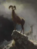 Rocky Mountain Sheep van Albert Bierstadt: dieren met bergschaap, hoorns, rotsen en mist, in gedempt grijsbruin