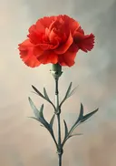 Botanische Prenten