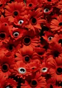 Rode gerbera schilderij met verborgen ogen, surrealistisch bloemen kunstwerk