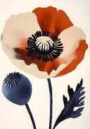 Illustratie van een klaproos met blauwe zaaddoos