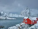 Rode vissershut aan de fjord, landschap schilderij