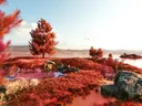 Rood getint landschap met boom, houten steiger en water.