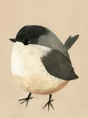 Illustratie van een rond zwart-wit vogeltje met kleine pootjes