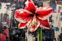 Fotorealistische rood-witte amaryllis tegen zwart-witte graffiti achtergrond