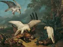 Roofvogel verslagen door IJslandse haviken van Philipp Ferdinand de Hamilton: dieren