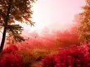 Bos met roze bloeiende struiken en doorbrekend zonlicht tussen de bomen.