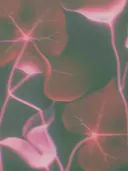 Roze bladeren met lichtflard, botanisch schilderij