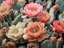 Roze bloemen tussen de cactussen, botanisch schilderij