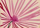 Aquarel schilderij van een roze chrysant bloem in close-up