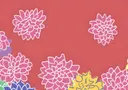 Illustratie van roze dahlia bloemen met witte omtreklijnen op een rode achtergrond