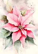 Aquarel van een roze kerstster