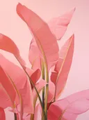 Close-up van roze langwerpige tropische bladeren tegen roze achtergrond.