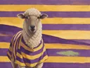 Schilderij van schaap in goudgeel en paars, in vlakke kleurvlakken