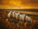 Schaap in het veld, een varenhelling, volle herfstkleuren
