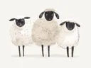 Schilderij met drie wollige schapen naast elkaar