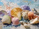 Schilderij van kleurrijke schelpen op strandzand