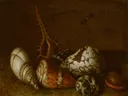 Zes schelpen met een libel van Balthasar van der Ast: stilleven met schelpen op een donkere richel, in warm bruin en gebroken wit