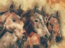 Artistieke schets van drie paardenkoppen