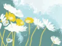 Schilderij van witte en gele madeliefjes tegen een blauwgroene achtergrond.