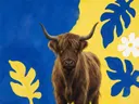 Schilderij van schotse hooglander in citroengeel en kobalt, in vlakke kleurvlakken