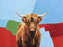 Schilderij van schotse hooglander in hemelblauw en klaproosrood, in vlakke kleurvlakken