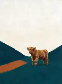 Schilderij van schotse hooglander in kalkwit en zeeblauw, in vlakke kleurvlakken