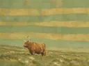 Schilderij van schotse hooglander in salie en oker, in vlakke kleurvlakken