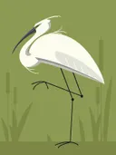 Grafische illustratie van een witte reiger tussen riet op een groene achtergrond.