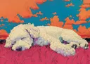 Pop-art schilderij van een slapende witte krullenhond in roze gras met oranje wolkenlucht