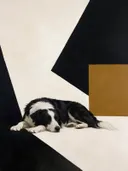Schilderij van slapende hond in zwart en gebroken wit
