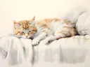 Aquarel van een slapende kat op een witte bank