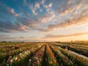 Landschapsfoto van snijbloem bij het gouden uur, met een stenen bruggetje