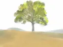 Aquarelillustratie van een enkele boom op een heuvel in gedempte kleuren.