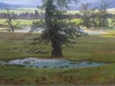 Solitary Tree van Caspar David Friedrich: landschap met boom, weide, bergen en herder, in groen met blauw