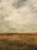 Somber landschap van een moerasvlakte onder een bewolkte, grijze hemel.