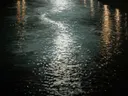 Stadslichten in het water, dieren schilderij