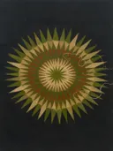 Sterburst-mandala in de stijl Modern Bauhaus, in olijfgroen, kaki en bleek zand, met een gebrande sienna als accent