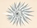 Sterburst-mandala in de stijl Modern Bauhaus, in steengrijs, bleek blauwgrijs en krijtwit, met een diepzwart accent